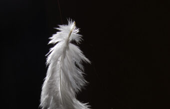 8 unglaubliche Zeichen, dass ein verstorbener geliebter Mensch noch versucht, dich zu erreichen