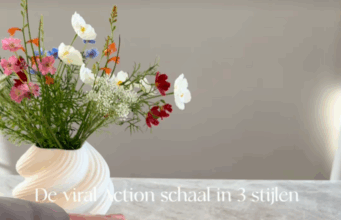 Action bringt Design-Schale zum kleinen Preis – überall vergriffen!