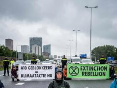 Anne (23): „Ich habe Schule und Arbeit aufgegeben und werde mich voll und ganz dem Aktivismus widmen.“