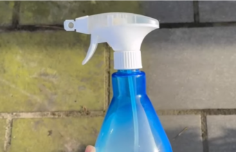 Grünbelag weg mit diesem Küchenschrank-Trick: Das gießt du auf deine Terrasse (nie gewusst!)