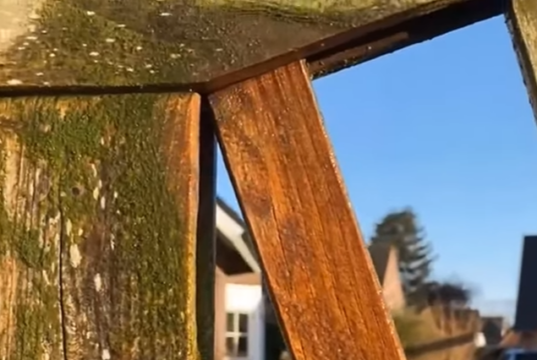 Er schmiert das auf den Zaun – schau mal, was mit dem Grünbelag passiert!