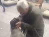 Nach drei Jahren auf der Straße geschieht das Unvorstellbare: Hund erkennt plötzlich eine vertraute Stimme wieder.