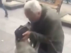 Nach drei Jahren auf der Straße geschieht das Unvorstellbare: Hund erkennt plötzlich eine vertraute Stimme wieder.