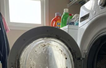 Waschmaschinentür nach dem Waschen offen oder geschlossen? Fast jeder macht es falsch