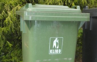 Hast du diese Pflanze im Garten? Wirf sie auf keinen Fall in die Biotonne!