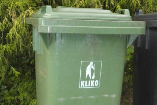 Hast du diese Pflanze im Garten? Wirf sie auf keinen Fall in die Biotonne!